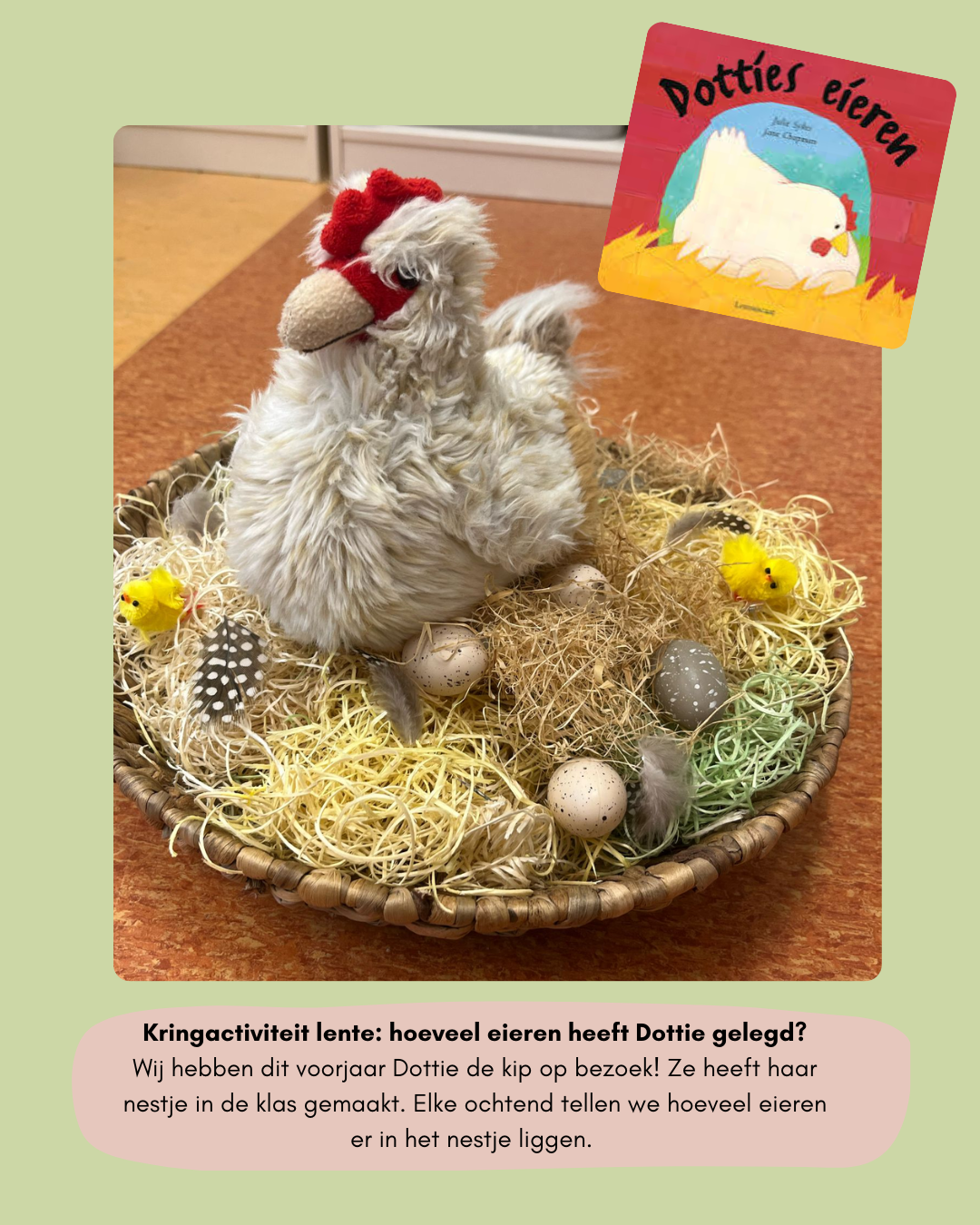 Lesactiviteit lente: Dottie’s eieren